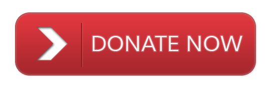 A large red rectangular button with a white arrow pointing right and the words DONATE NOW in bold white letters.
